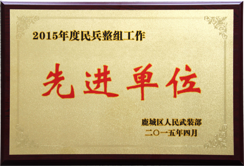 2015年 民兵整组工作先进单位